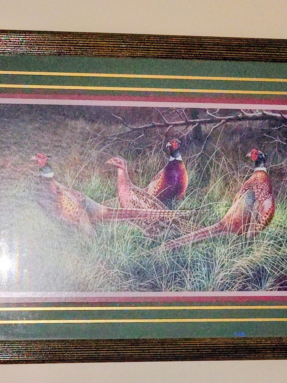 Framed Pheasant Art Print in Green and Brown